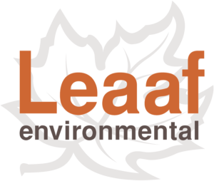 leaaf full color logo