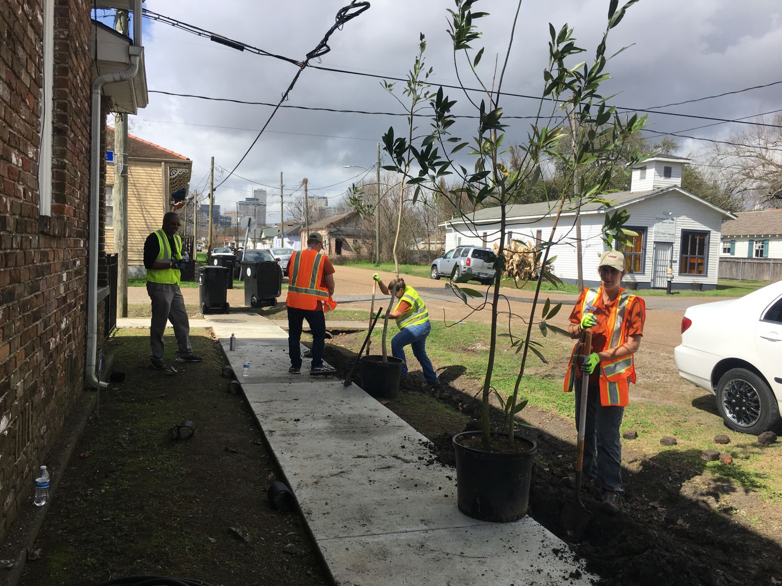 SOUL Tree Planting Sidewalk